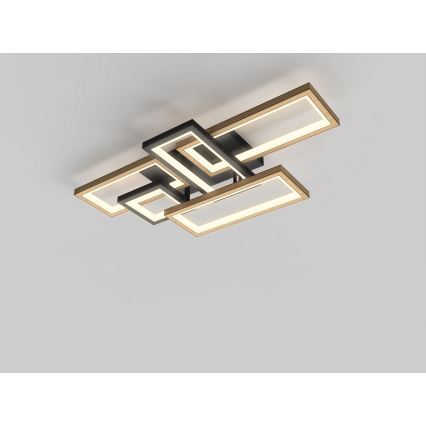 Wofi 9022-506 - Plafonnier LED dimmable MATERA LED/60W/230V