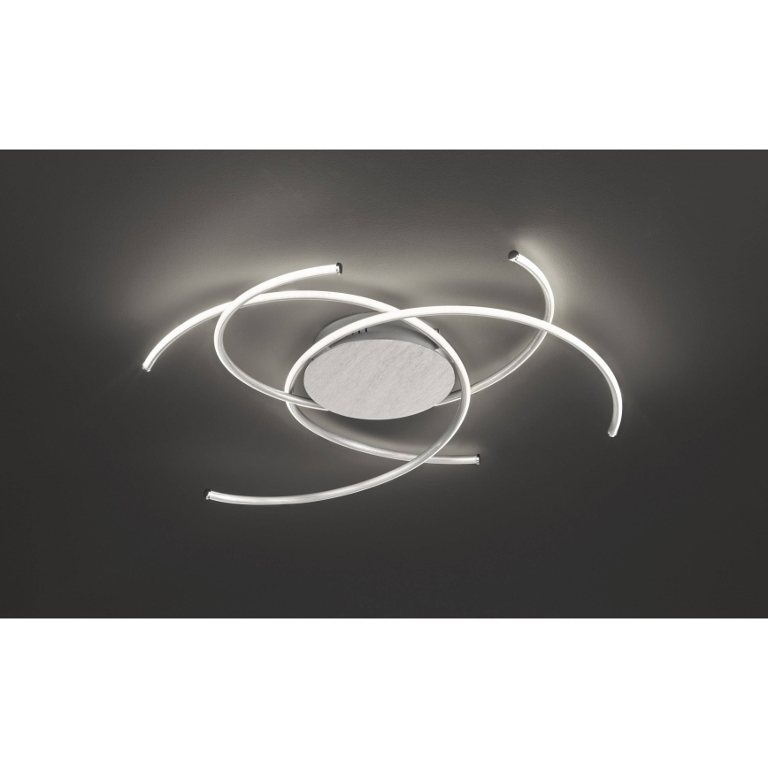 Wofi - LED Plafondlamp JULS LED/24W/230V