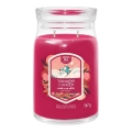 Yankee Candle - Bougie parfumée SANTA ON SKIS grande 567g 60-90 heures