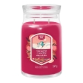 Yankee Candle - Geurkaars SANTA ON SKIS groot 567g 60-90 uur.