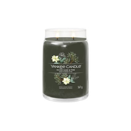 Yankee Candle - Geurkaars SILVER SAGE & PINE groot 567g 60-90 uur.
