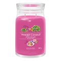 Yankee Candle - Grote geurkaars ART IN THE PARK 567g 60-90 uur