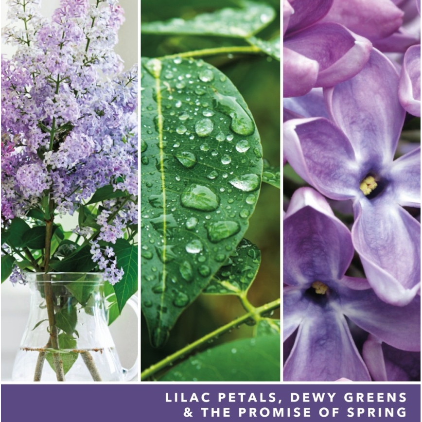 Yankee Candle - Grote geurkaars LILAC BLOSSOMS 567 g 60-90 uur