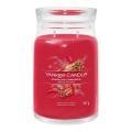 Yankee Candle - Grote geurkaars SPARKLING CINNAMON 567 g 60-90 uur