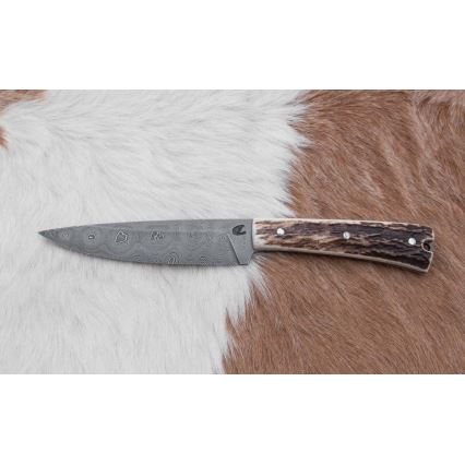 Zakelijke koffer op wielen 12 cm herten gewei