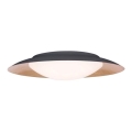 Zambelis 1962 - LED plafondlamp LED/28W/230V diameter 50 cm goud