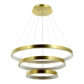 Zambelis 2009 - Dimbare LED hanglamp aan een koord LED/112W/230V goud