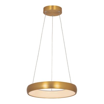 Zambelis 2046 - Dimbare LED hanglamp aan een koord LED/30W/230V diameter 40 cm goud