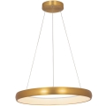 Zambelis 2054 - Dimbare LED hanglamp aan een koord LED/50W/230V diameter 60 cm goud
