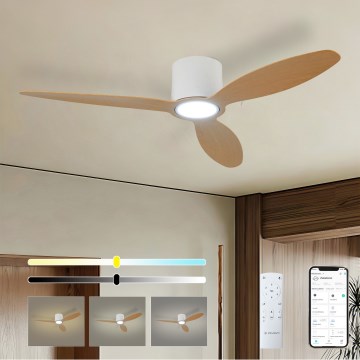 ZEVENTI - Dimbare LED-plafondventilator VENTORA LED/24W/230V 3000/4000/6000K Wi-Fi Tuya wit/eiken + afstandsbediening
