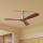 ZEVENTI - Ventilateur de plafond LIONI Wi-Fi Tuya chrome mat/chêne + Télécommande