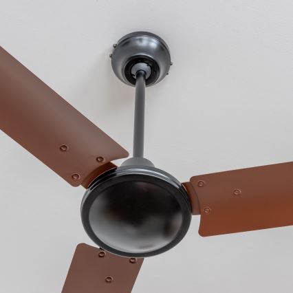 ZEVENTI - Ventilateur de plafond TOFINO marron