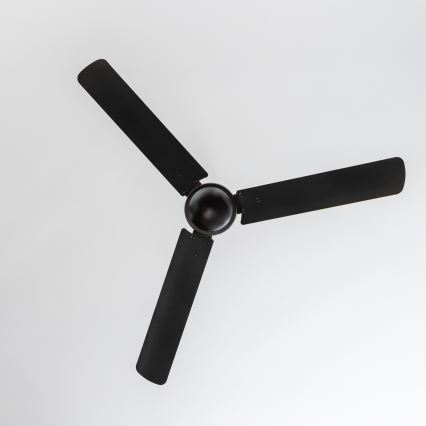 ZEVENTI - Ventilateur de plafond TOFINO noir