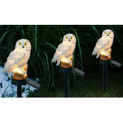 LED zonne-decoratieve lamp met sensor 6xLED/1,2V 3000K 40 cm 600 mAh IP44 uil