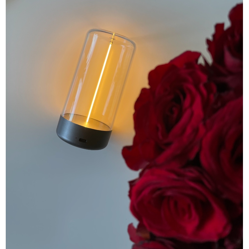 Zuma Line - LED Dimbare oplaadbare tafellamp LED/0,5W/230V zwart IP54