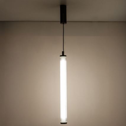 Zuma Line - Suspension LED dimmable sur câble LED/26W/230V 2700-6500K noire + télécommande
