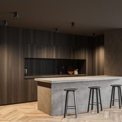 Zuma Line - Spot LED RGBW dimmable 1xGU10/6W/230V noir + télécommande