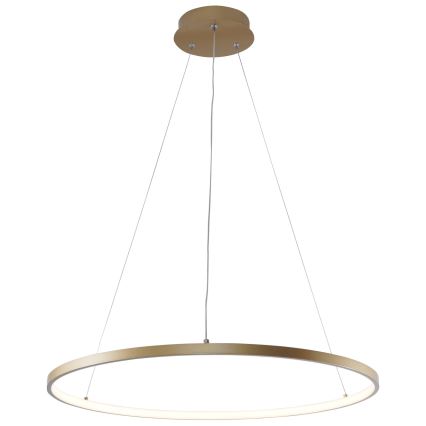 Zuma Line - LED Hanglamp aan een koord LED/28W/230V 3000/4000/6000K diameter 60 cm goud