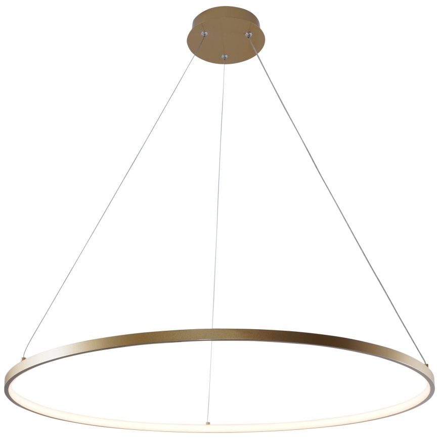 Zuma Line - Suspension filaire LED/36W/230V 3000/4000/6000K d. 80 cm doré