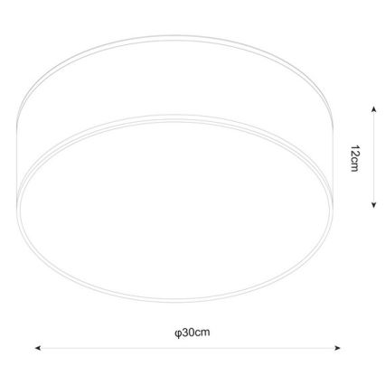 Zuma Line - Plafond Lamp 2xE14/40W/230V zwart