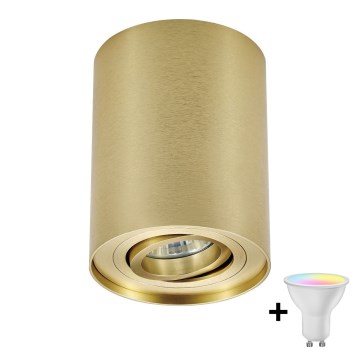 Zuma Line - Dimbare LED RGBW spot 1xGU10/4,8W/230V goud + afstandsbediening