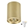 Zuma Line - Dimbare LED RGBW spot 1xGU10/4,8W/230V goud + afstandsbediening
