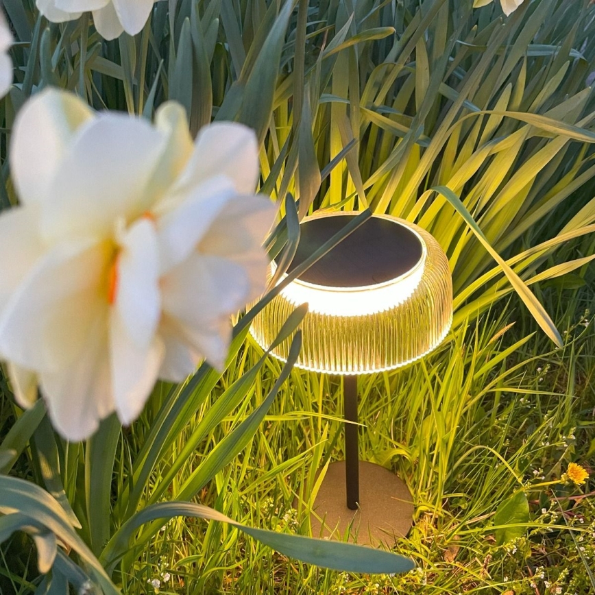 Zuma Line - LED Dimbaar zonne- oplaadbaar tafellamp LED/2,5W/2000 mAh IP44 zwart