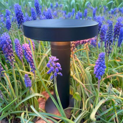 Zuma Line - LED Dimbare Solar Oplaadbare Tafellamp LED/2W/2000 mAh IP44 zwart