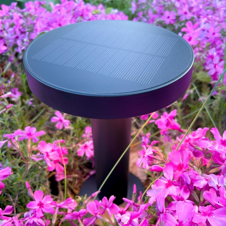 Zuma Line - LED Dimbare Solar Oplaadbare Tafellamp LED/2W/2000 mAh IP44 zwart