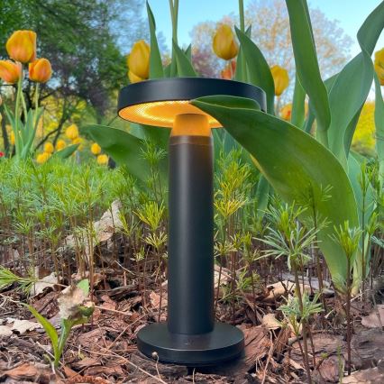 Zuma Line - LED Dimbare Solar Oplaadbare Tafellamp LED/2W/2000 mAh IP44 zwart