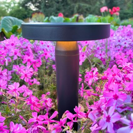 Zuma Line - LED Dimbare Solar Oplaadbare Tafellamp LED/2W/2000 mAh IP44 zwart