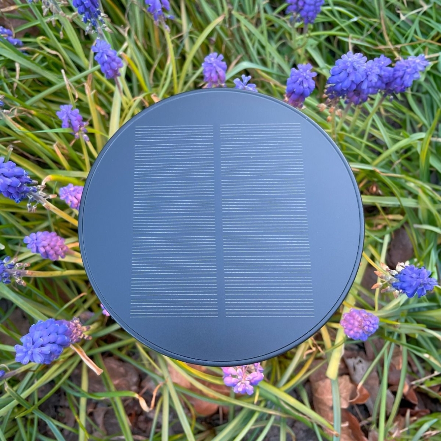 Zuma Line - LED Dimbare Solar Oplaadbare Tafellamp LED/2W/2000 mAh IP44 zwart