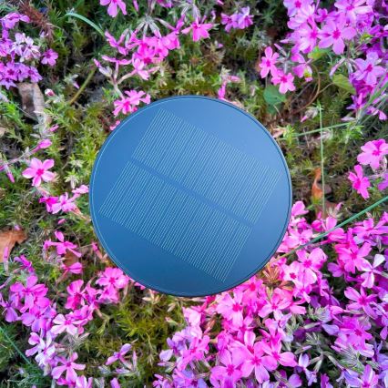 Zuma Line - LED Dimbare Solar Oplaadbare Tafellamp LED/2W/2000 mAh IP44 zwart