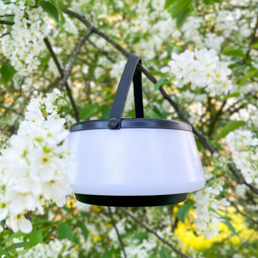 Zuma Line - LED dimbare solar oplaadbare tafellamp LED/2,2W/2000 mAh IP44 zwart
