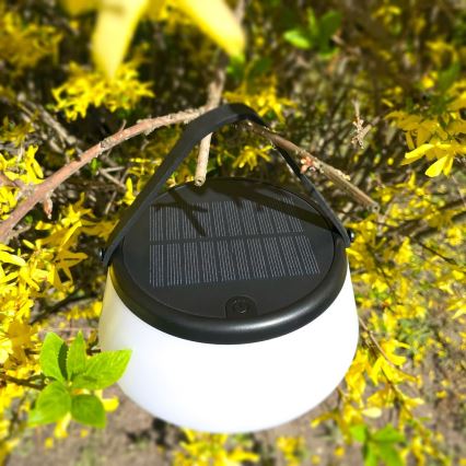 Zuma Line - LED dimbare solar oplaadbare tafellamp LED/2,2W/2000 mAh IP44 zwart