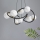 Zuma Line - Hanglamp aan een koord 8xG9/3,5W/230V zwart