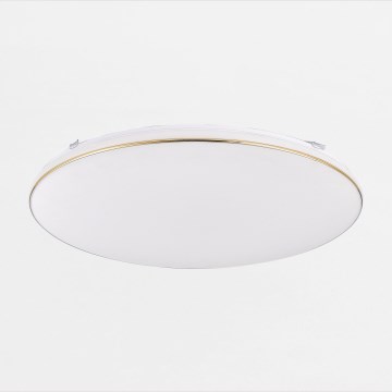 Zuma Line - LED Dimbaar Plafondlamp OMAR LED/48W/230V Ø 53 cm goudkleurig