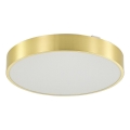 Zuma Line - LED Dimbare badkamer plafondverlichting LED/50W/230V 3000-6000K diameter 50 cm IP44 goud + afstandsbediening