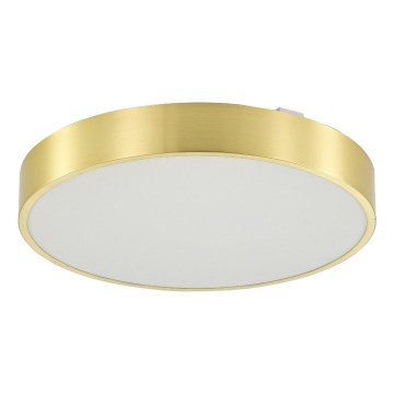 Zuma Line - LED Dimbare badkamer plafondverlichting LED/50W/230V 3000-6000K diameter 50 cm IP44 goud + afstandsbediening