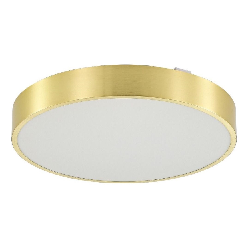 Zuma Line - LED Dimbare badkamer plafondverlichting LED/50W/230V 3000-6000K diameter 50 cm IP44 goud + afstandsbediening