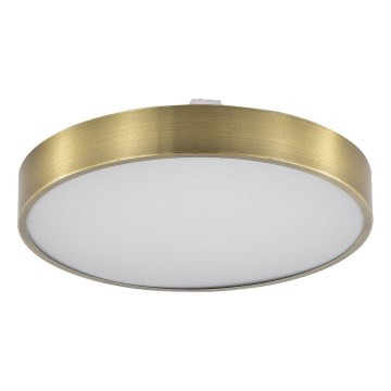 Zuma Line - LED Dimbare badkamer plafondverlichting LED/50W/230V 3000-6000K diameter 50 cm IP44 messing + afstandsbediening