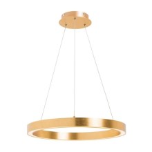 Zuma Line - LED Hanglamp aan een koord 1xLED/30W/230V 40 cm goud