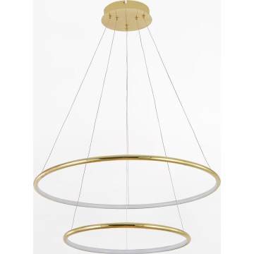 Zuma Line - LED Hanglamp aan een koord LED/40W/230V goud