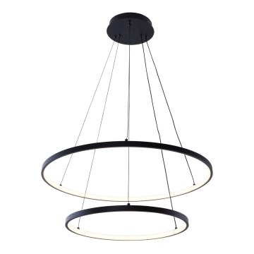 Zuma Line - LED Hanglamp aan een koord LED/50W/230V 3000/4000/6000K diameter 60 cm zwart