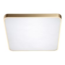 Zuma Line - LED Plafond Lamp LED/40W/230V goud