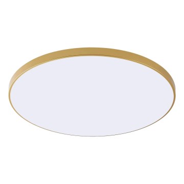 Zuma Line - LED plafondlamp VERI LED/32W/230V Ø 37 cm goud