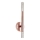 Zuma Line - LED Wandlamp 2xLED/5W/230V Roségoud