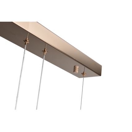 Zuma Line - Suspension LED sur câble LED/36W/230V or rose