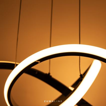 Zuma Line - Dimbare LED hanglamp aan een koord LED/44W/230V zwart