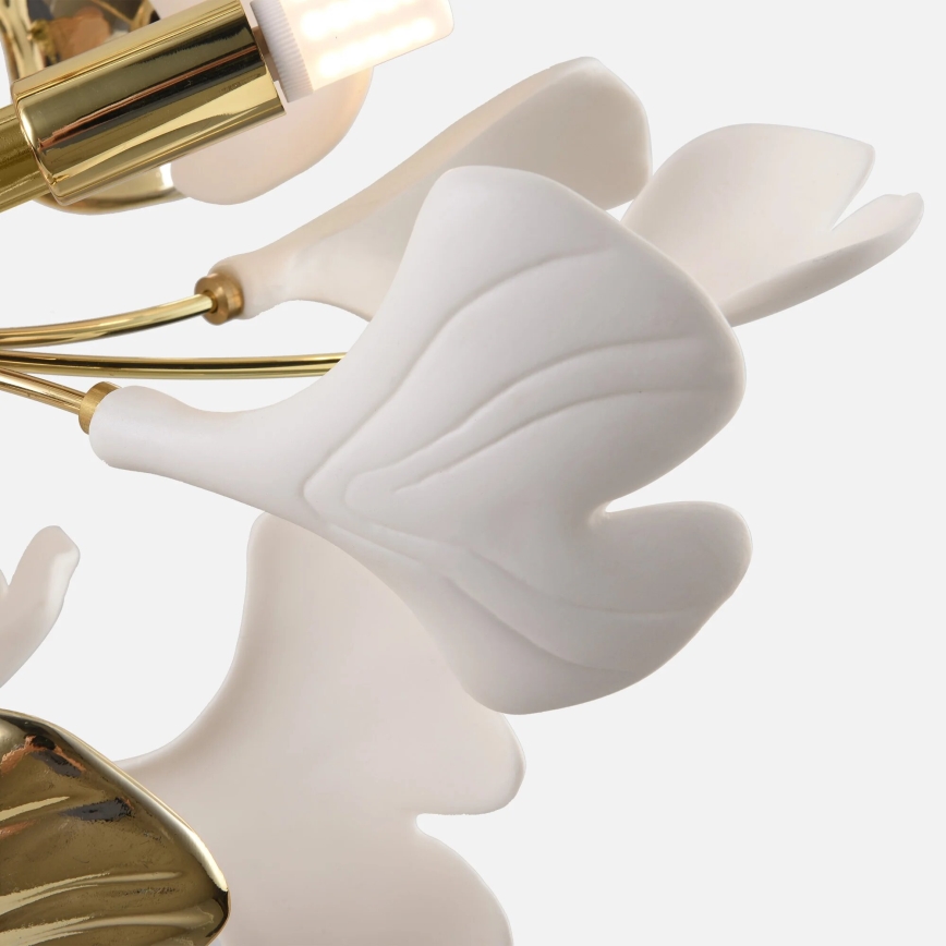 Zuma Line - Lustre plafonnier monté en surface 6xG9/42W/230V Ø 70 cm doré